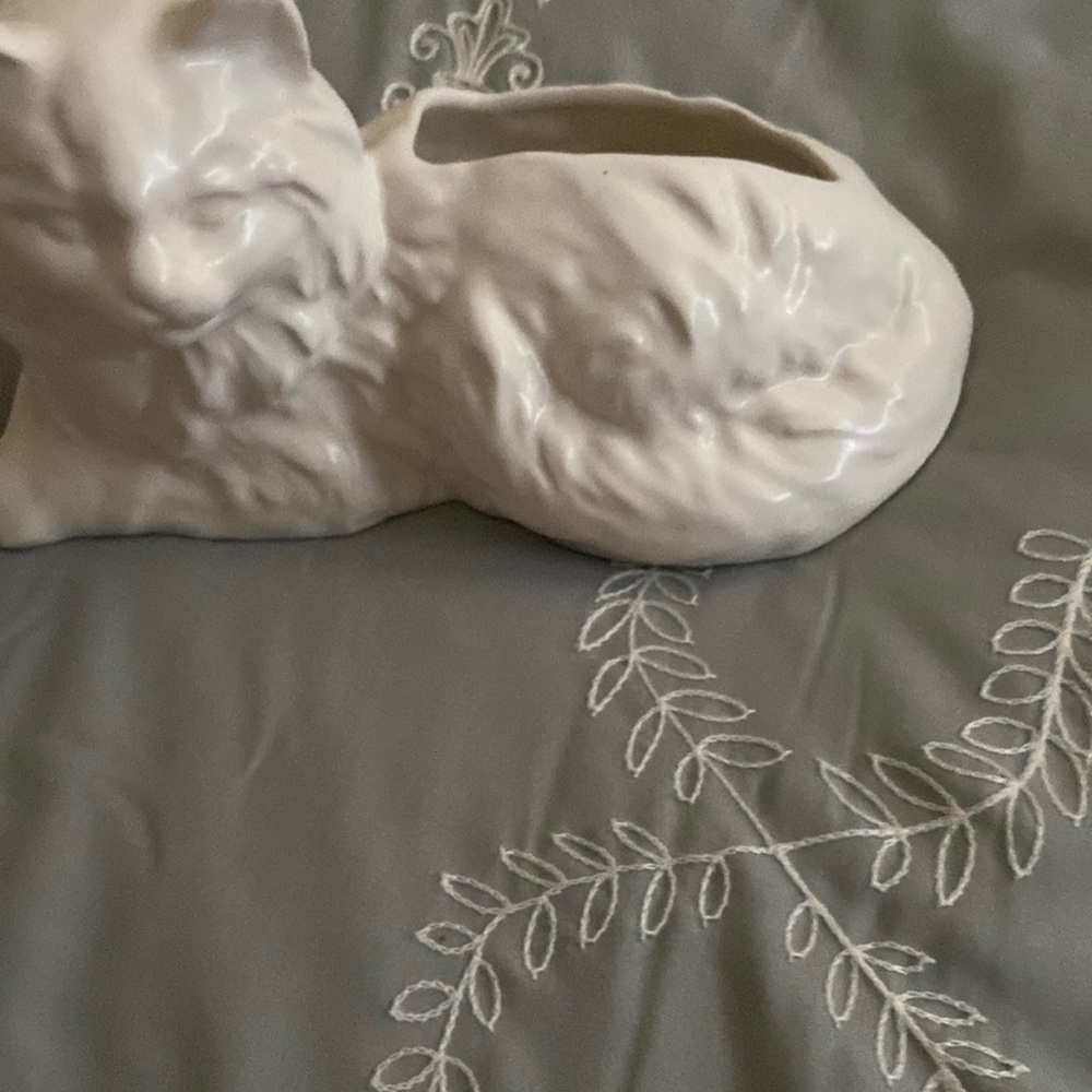 White cat